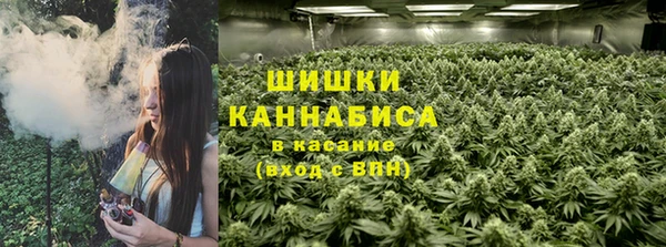МДПВ Абаза