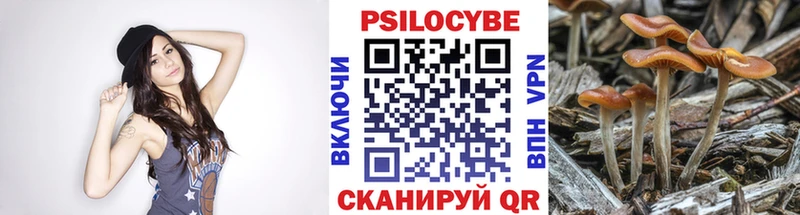 Псилоцибиновые грибы ЛСД  ОМГ ОМГ зеркало  Абинск  как найти закладки 